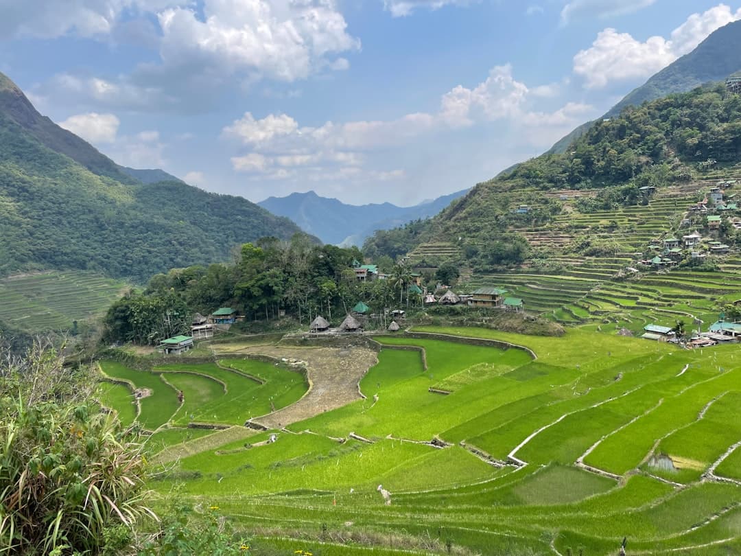 Riwayat PCSO di komunitas togel — Philippines Banaue rice terraces landscape