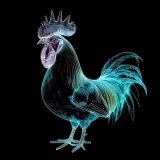 Ayam Putih