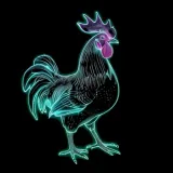 Ayam
