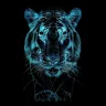 Harimau Hitam