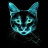 Kucing Putih