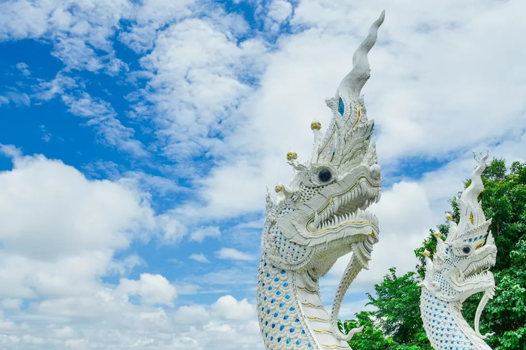 Kode alam Naga Putih