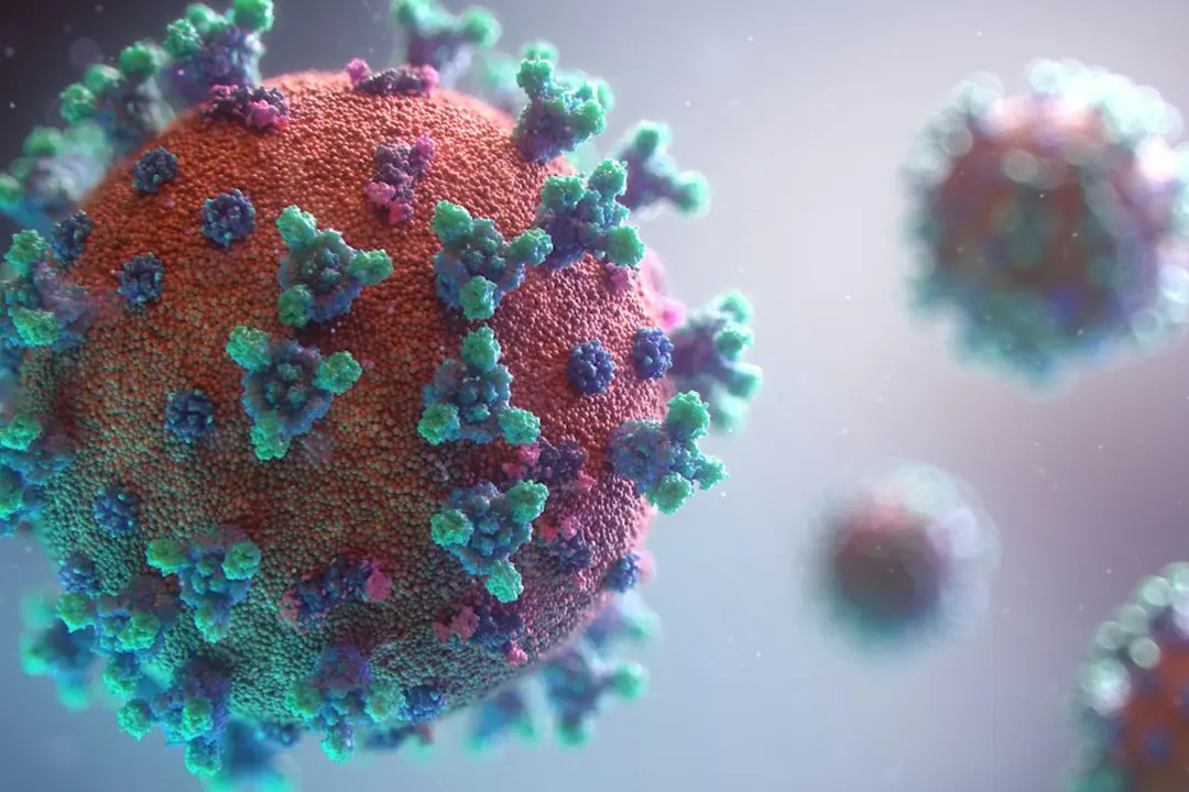 Kode alam Virus