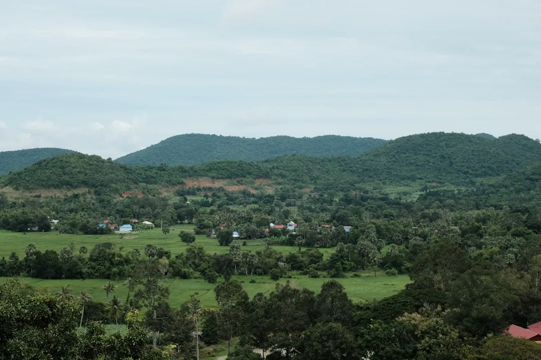 Cambodia di komunitas togel - landscape rural Cambodia rice fields, brand pasaran pagi