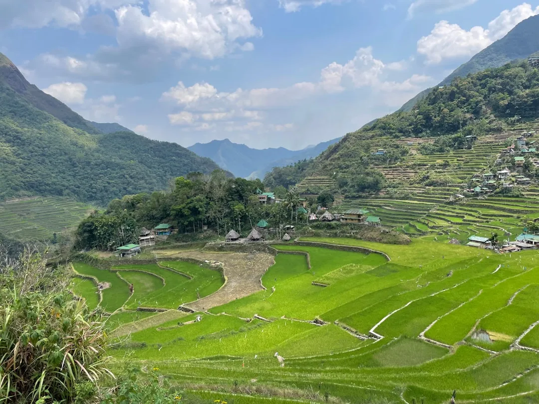 History of PCSO in the togel community - Banaue rice terraces landscape in the Philippines