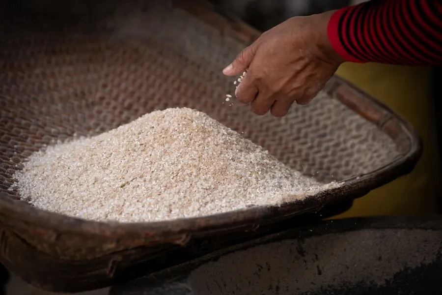 Ilustrasi mimpi beras — a person scooping rice out of a basket