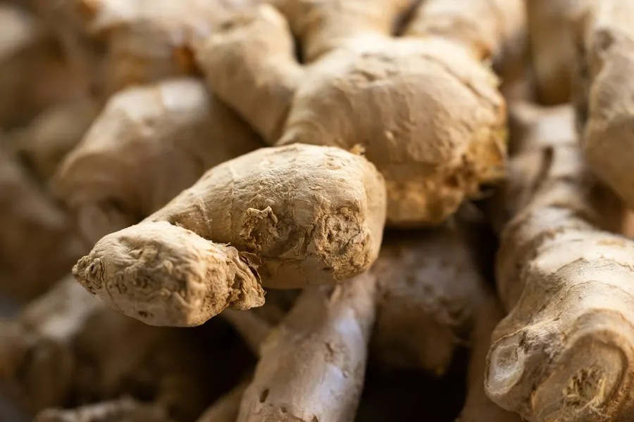 Ilustrasi mimpi jahe — a close up of a bunch of ginger roots