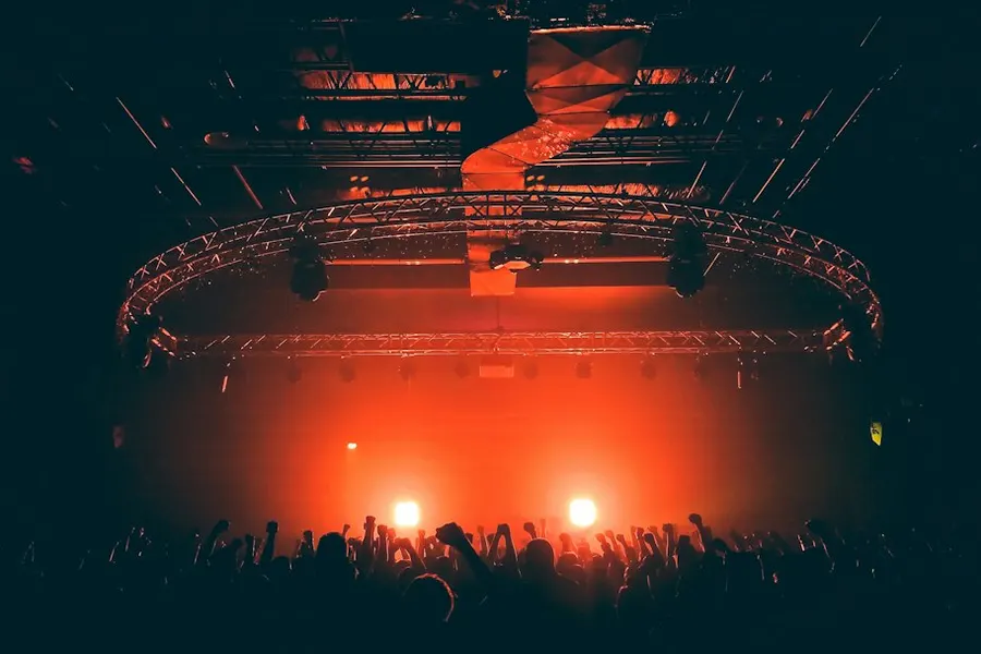 Ilustrasi mimpi ketemu artis — people gathering at the concert