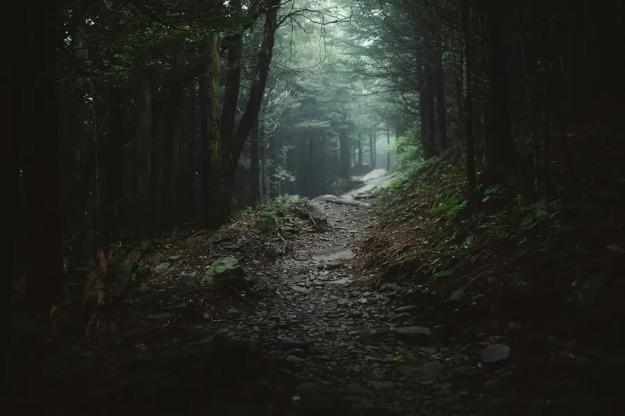 Ilustrasi mimpi tersesat — a path in the middle of a dark forest