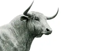 Ilustrasi mimpi banteng — erek-erek 2D 45