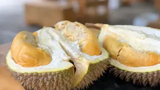 Ilustrasi mimpi duren — erek-erek 2D 16