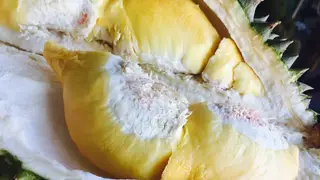 Ilustrasi mimpi durian — erek-erek 2D 17