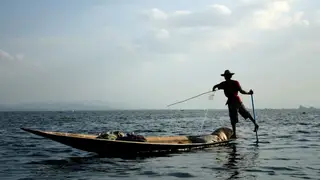 Ilustrasi mimpi ikan sampan — erek-erek 2D 86