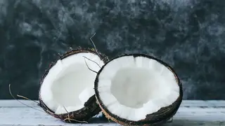 Ilustrasi mimpi kelapa — erek-erek 2D 10