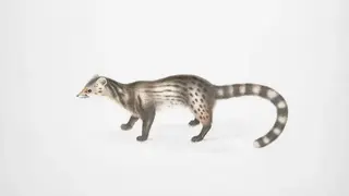 Ilustrasi mimpi musang — erek-erek 2D 36