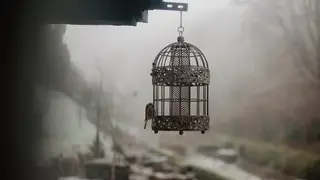 Ilustrasi mimpi sangkar burung — erek-erek 2D 31
