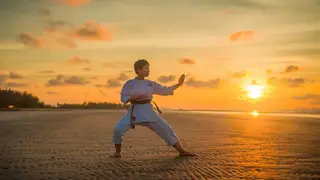 Ilustrasi mimpi silat — erek-erek 2D 34